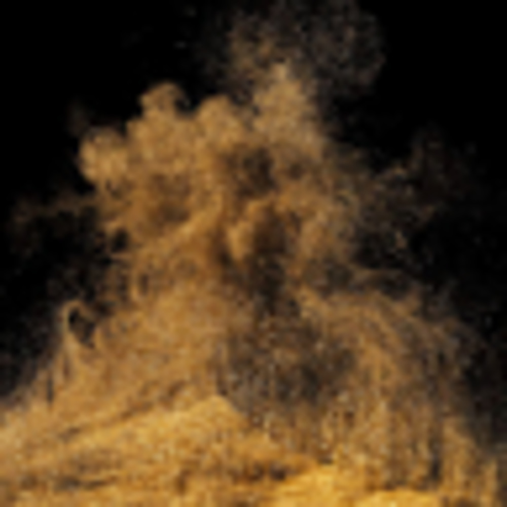 Meet your Posher, Eva